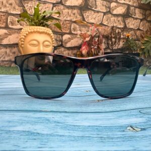 NVG Tortoise Wayfarer Sunglass