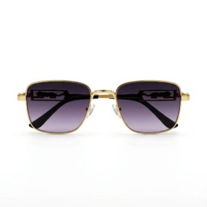 Gold Brown Sunglass